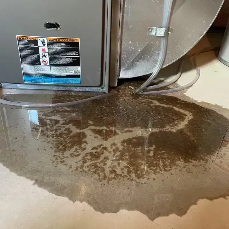 Appliance Leak Cleanup in Flagami, FL